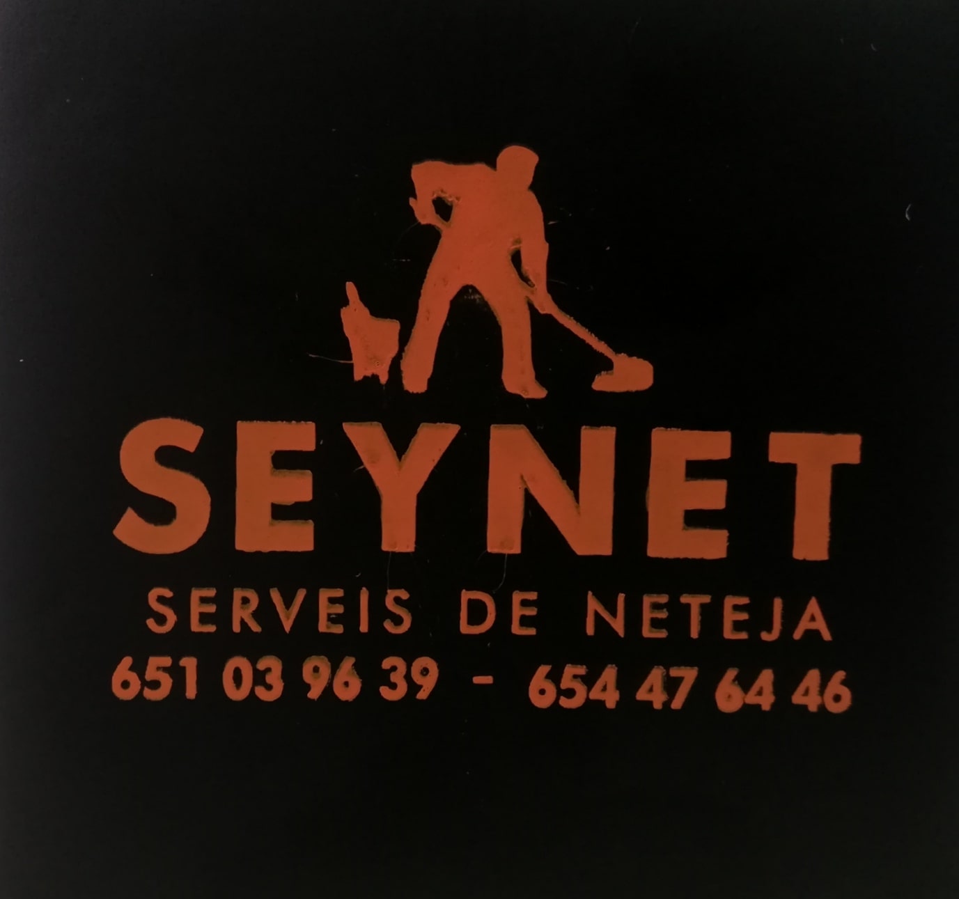 Seynet logo antiguo