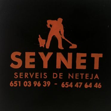 Seynet logo antiguo